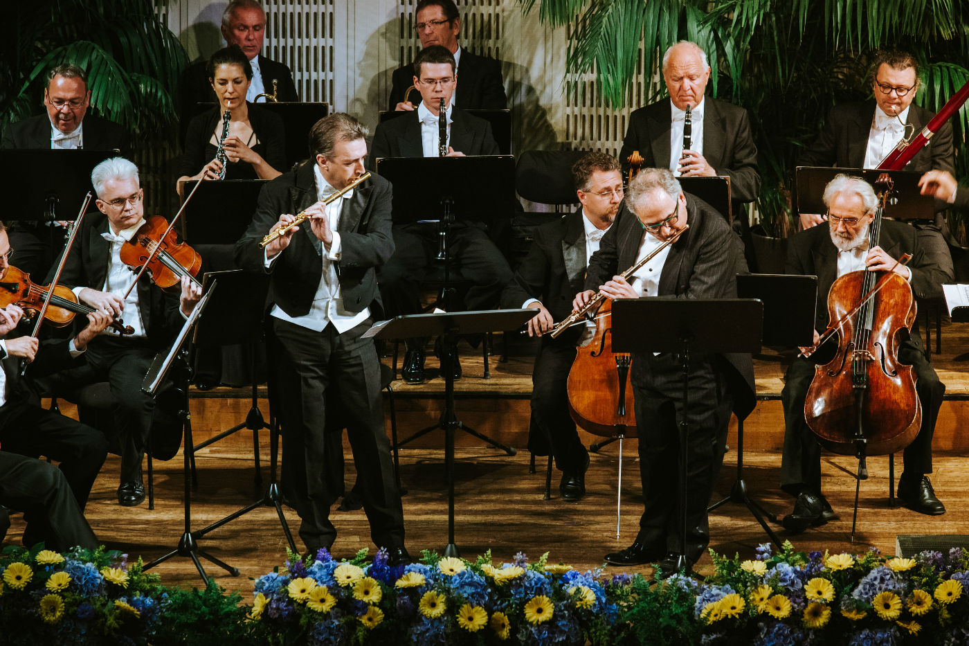 Wiener Hofburgorchester klassische Konzerte und klassische Musik